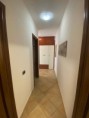 /album/galleria-foto-quadrivano-con-ampi-spazi-esterni-a-pochi-passi-dalla-spiaggia/ricciu-9-jpg/